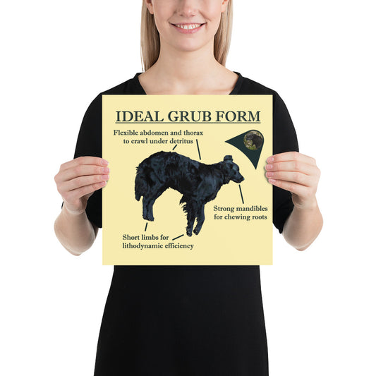 Ideal Grub Form Poster