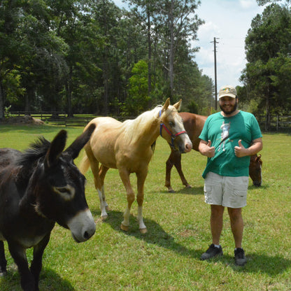 hay Horse Shirt