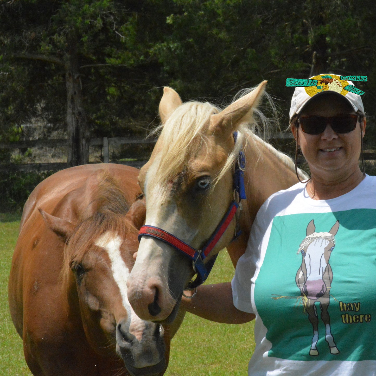 hay there Horse Shirt (Mom's Custom)