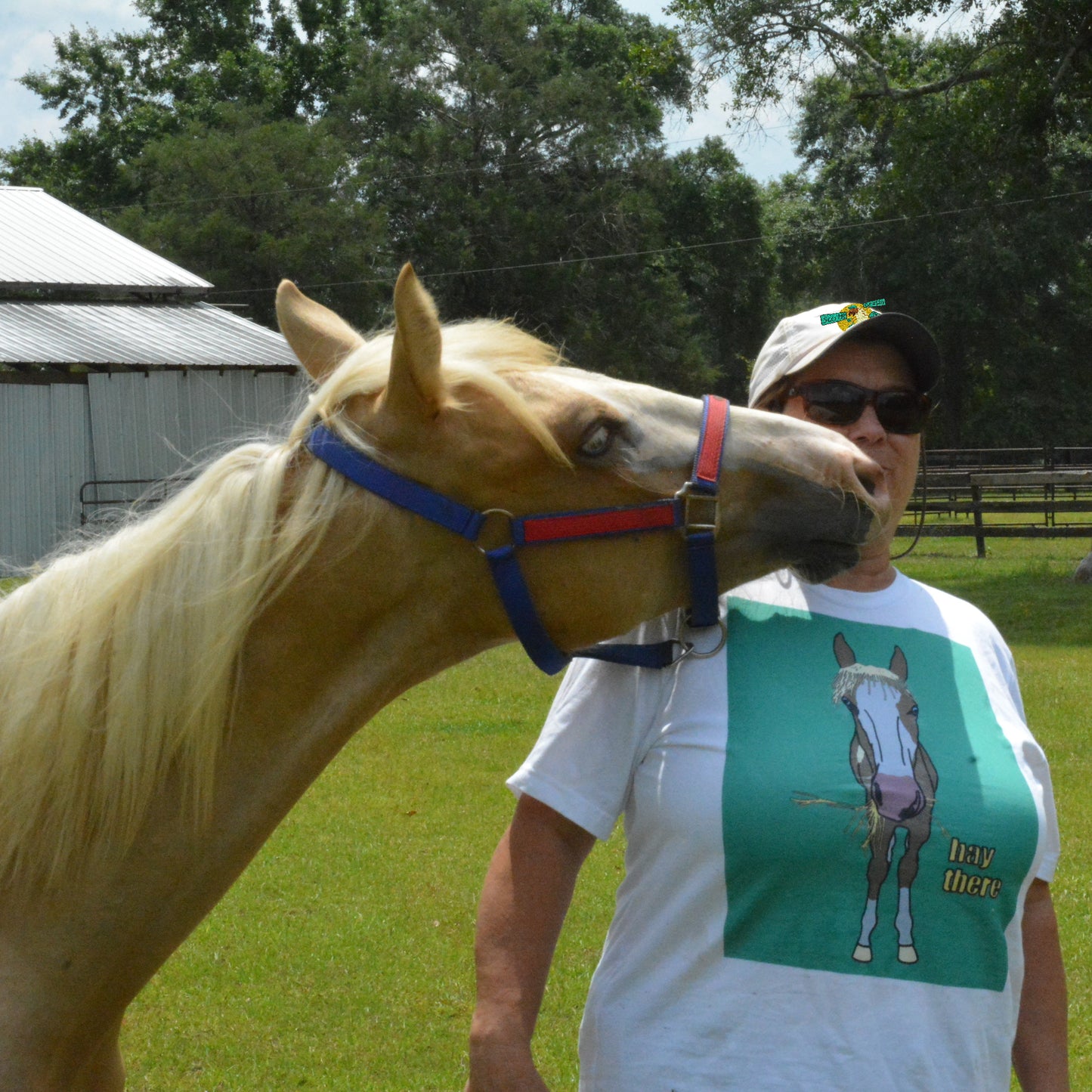 hay there Horse Shirt (Mom's Custom)